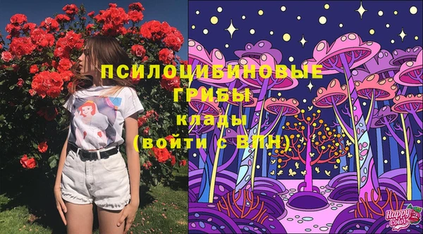 круглые Медвежьегорск