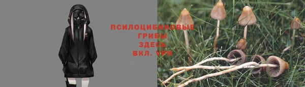 ALPHA-PVP Медногорск