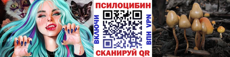 Псилоцибиновые грибы мицелий  где купить наркоту  Ставрополь 