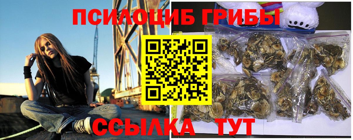 Псилоцибиновые грибы прущие грибы Ставрополь