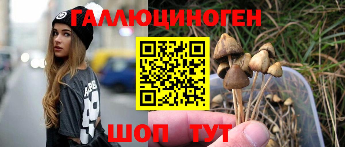 Галлюциногенные грибы MAGIC MUSHROOMS Ставрополь